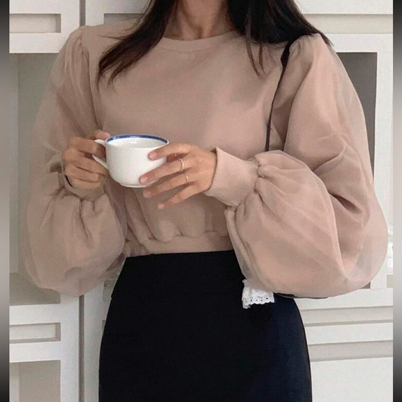 Tops - Light beige Mesh Panel Lantern puff Sleeve sweater Shirt blouse